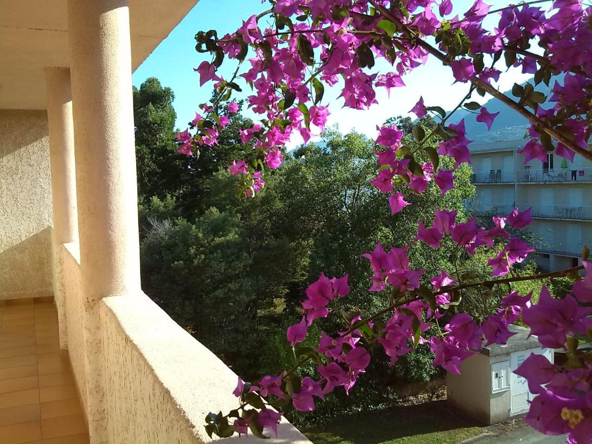 Appartement Cala Di Sognu à San-Nicolao Extérieur photo